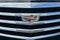 2020 Cadillac Escalade ESV Luxury
