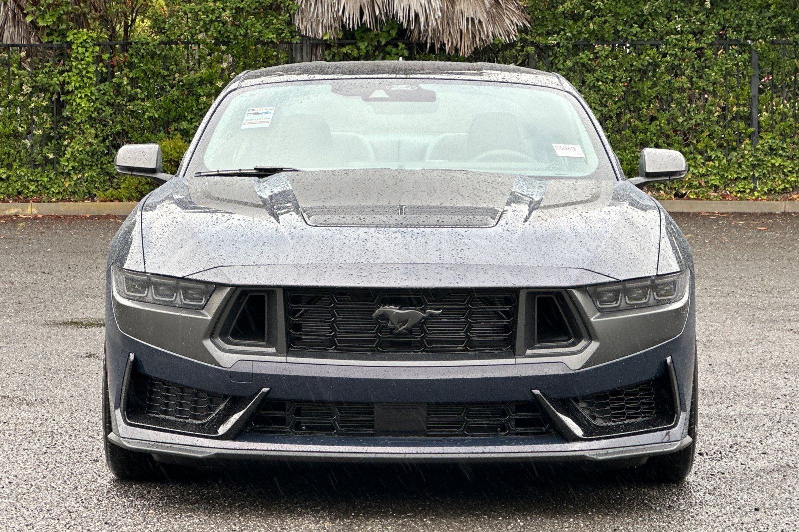 2026 Ford Mustang Dark Horse