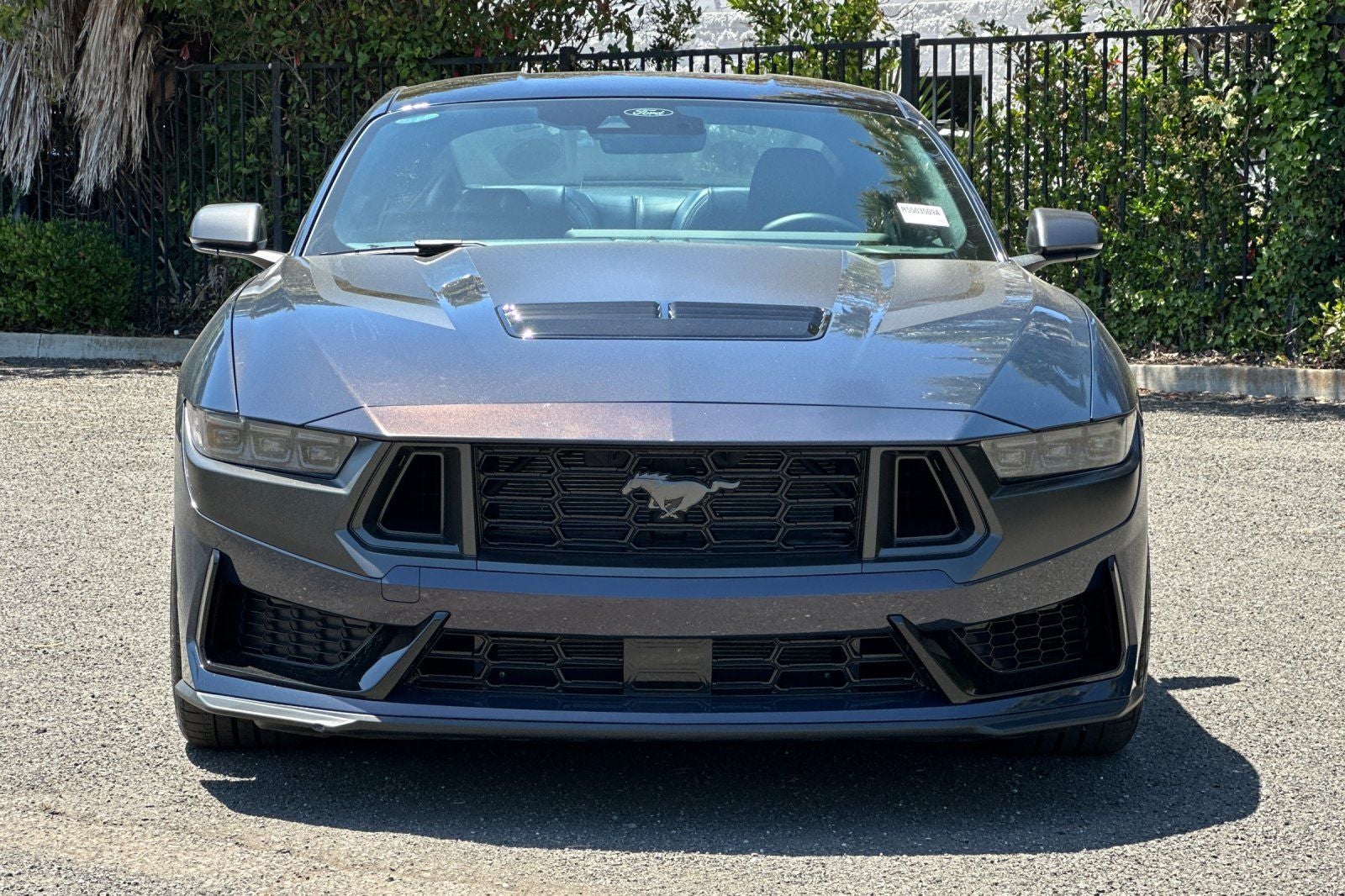 2024 Ford Mustang Dark Horse