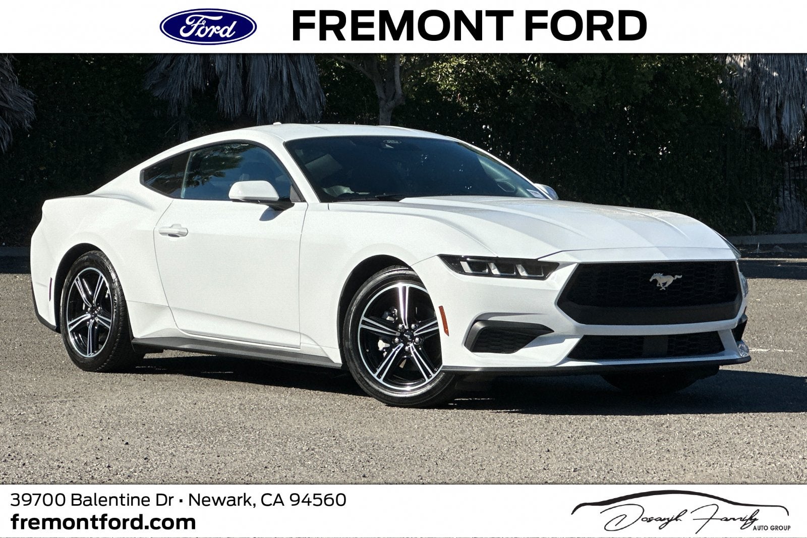 2024 Ford Mustang EcoBoost
