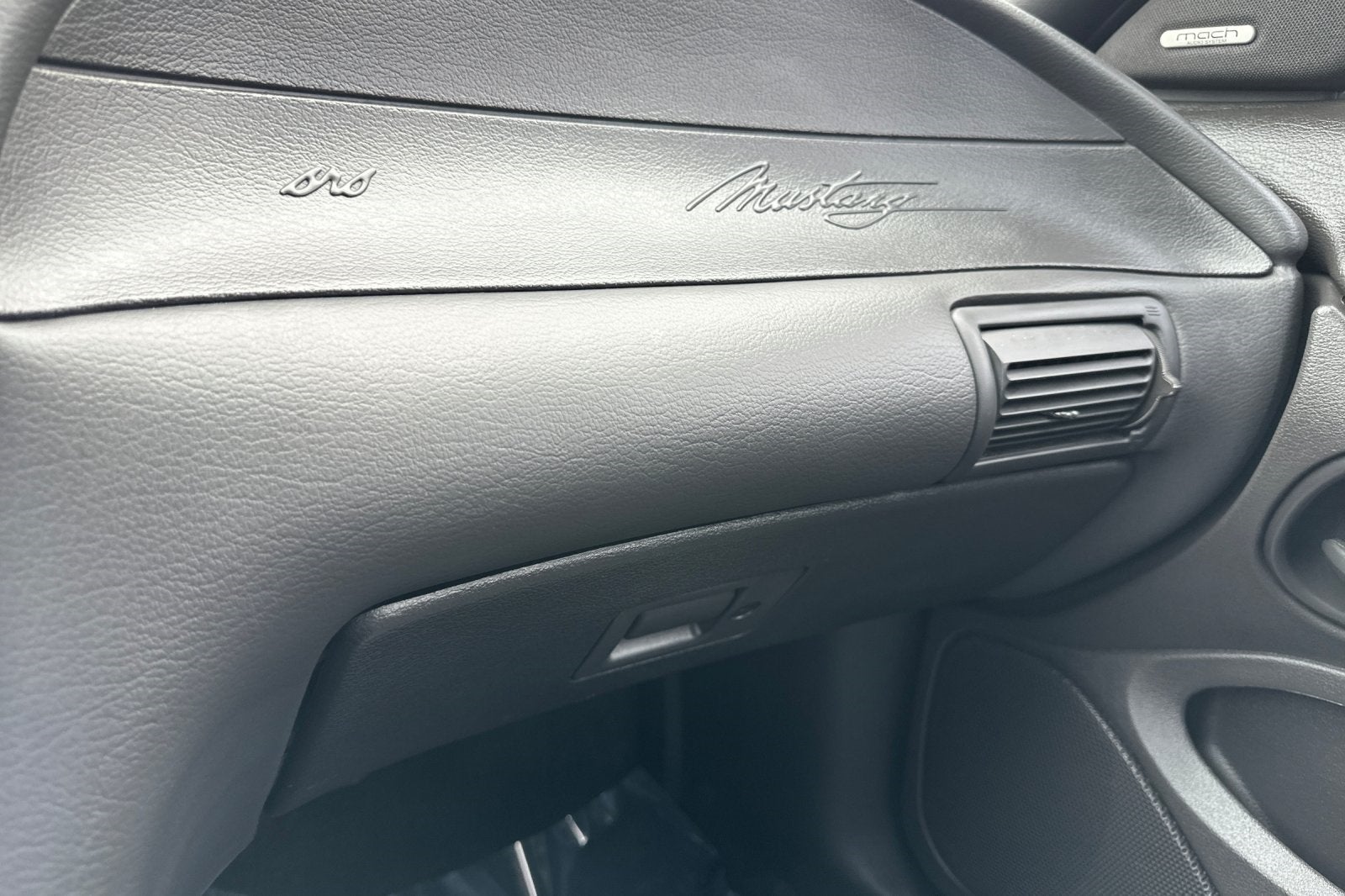 2004 Ford Mustang Mach 1 Premium