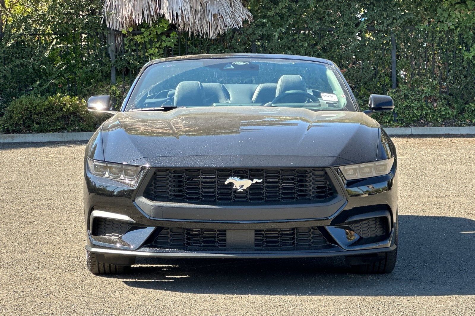 2026 Ford Mustang EcoBoost® Convertible