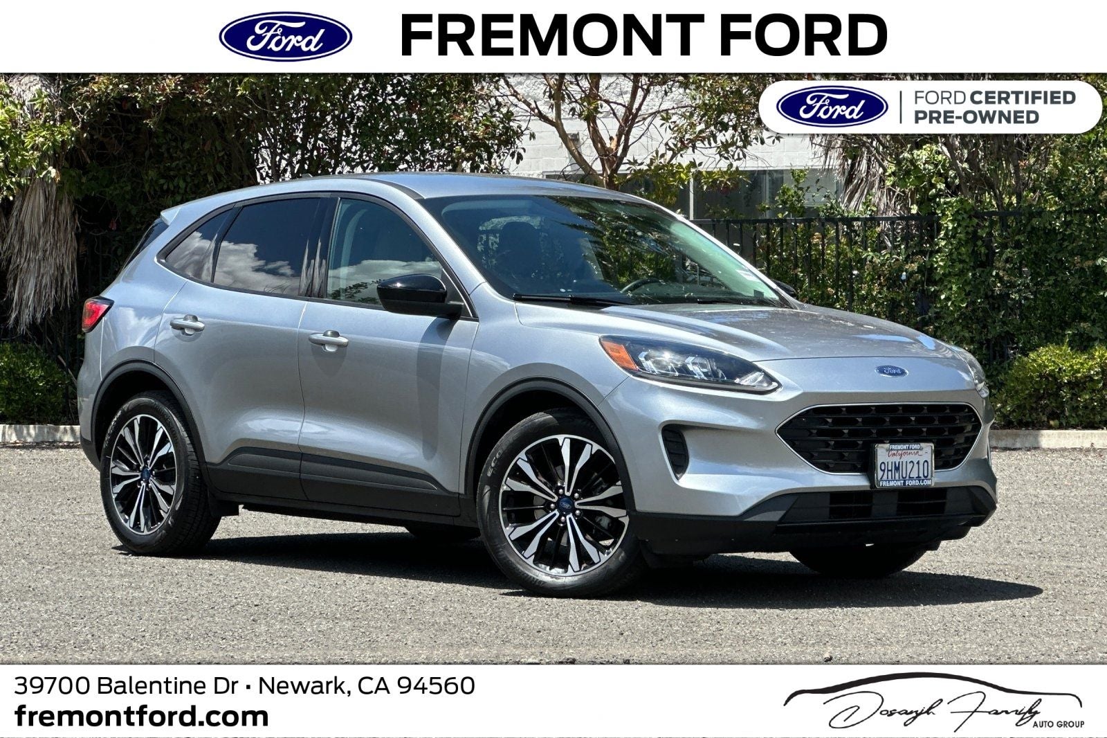 2022 Ford Escape SE FWD's photo
