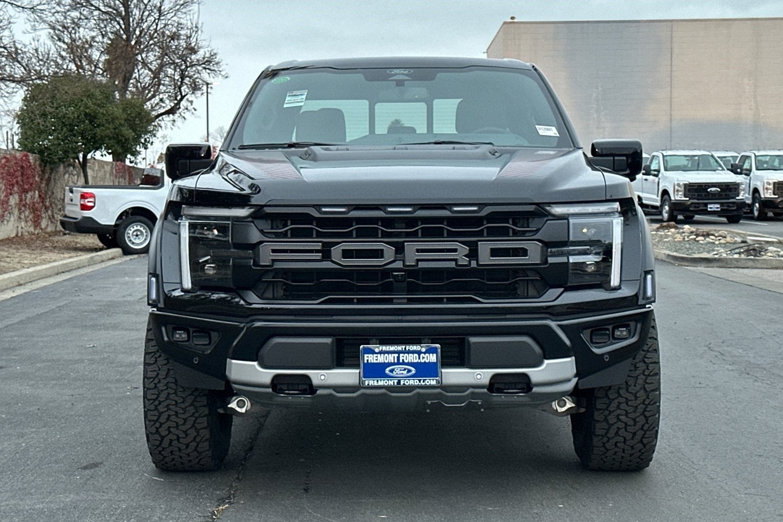 2025 Ford F-150 Raptor