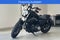 2021 Harley-Davidson Sportster Base