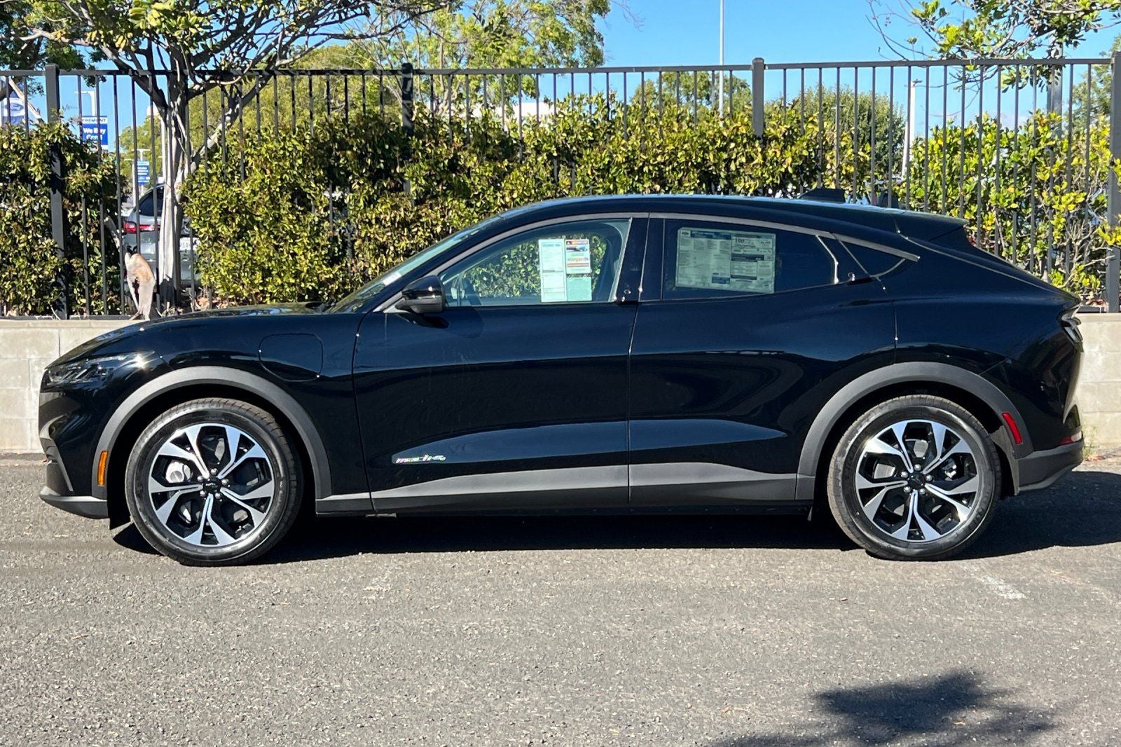 2026 Ford Mustang Mach-E Select