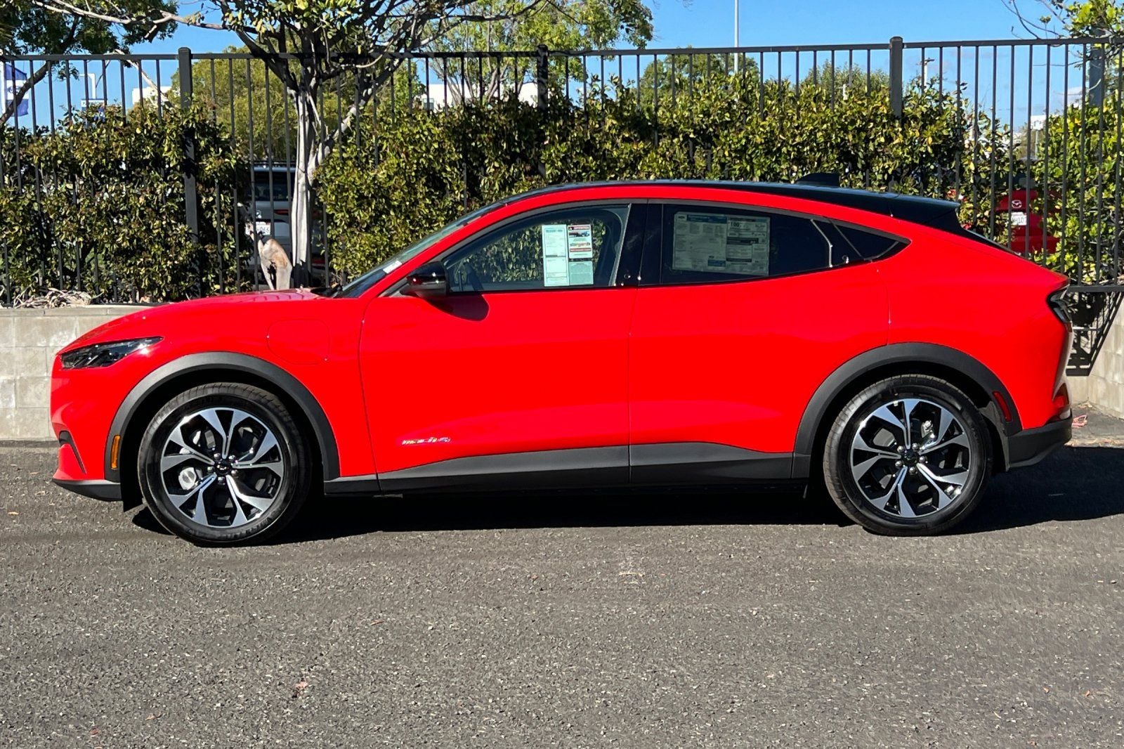 2026 Ford Mustang Mach-E Select