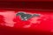 2022 Ford Mustang Mach-E Premium