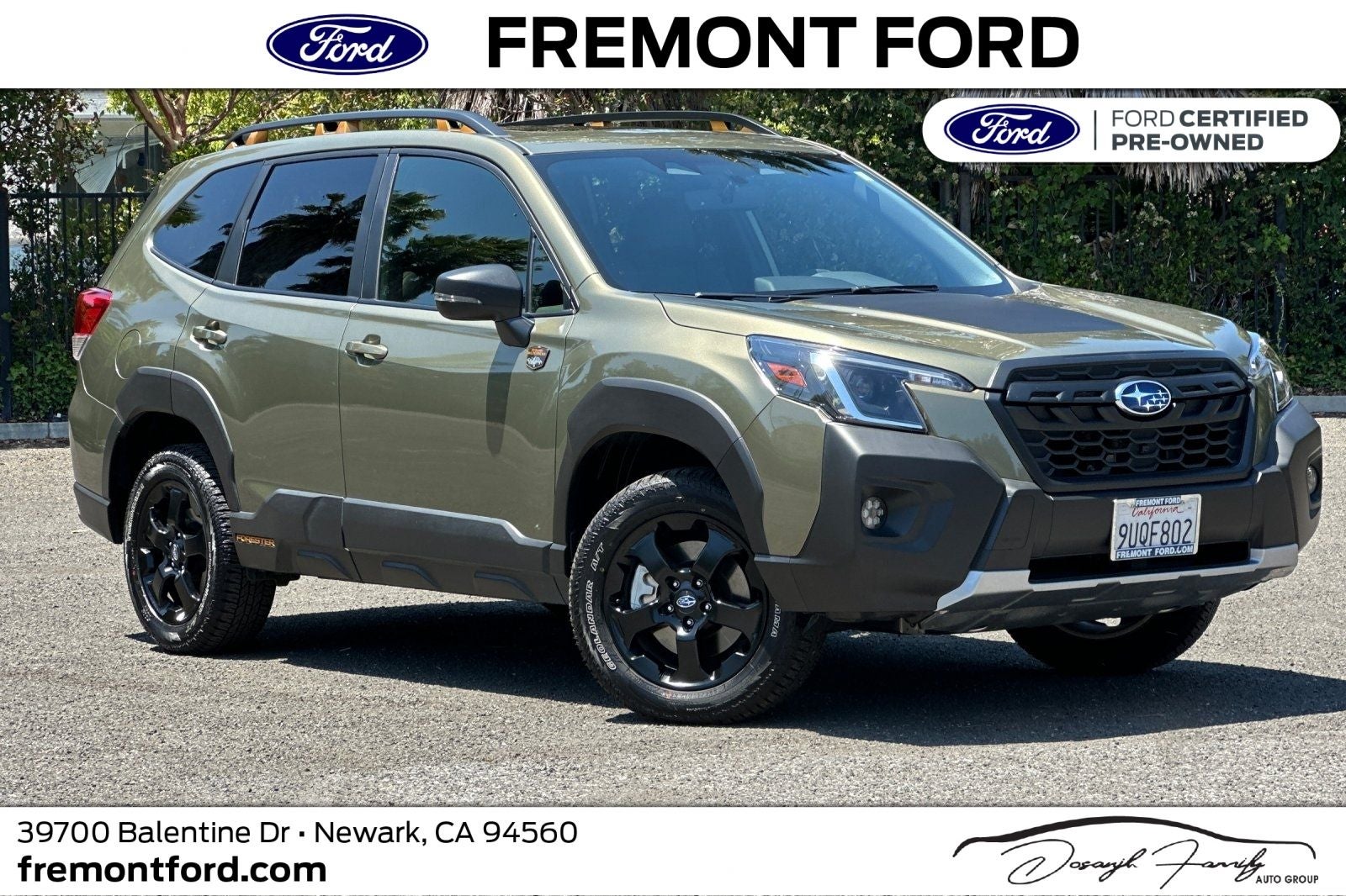 2025 Subaru Forester Wilderness's photo